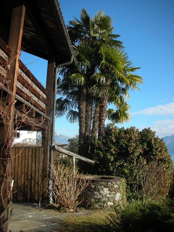 Ferienparadies Alla Vite in Brissago room 1